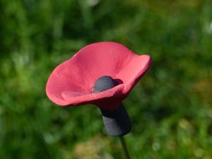 coquelicot - Grès et engobe