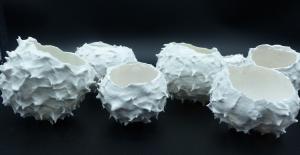 Oursins - Porcelaine