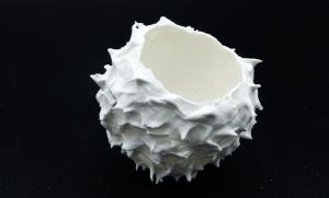 Oursin - Porcelaine