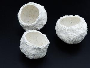 Oursins - Porcelaine
