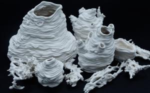 Coraux - Porcelaine